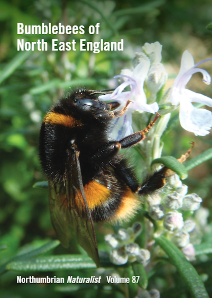 Bumblebees of North East England Cover
