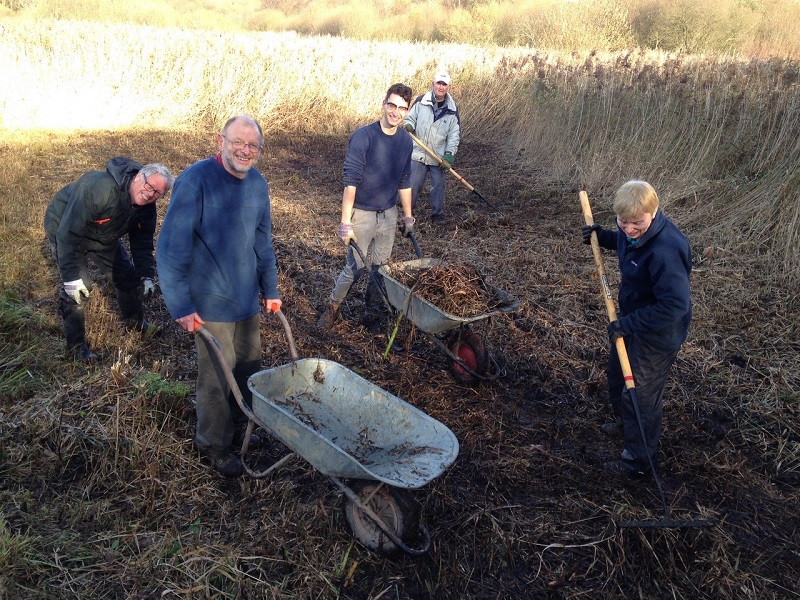 Volunteers clear reeds at Gosforth Nature Reserve