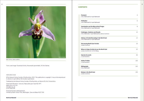 Orchids of North East England - Image 2