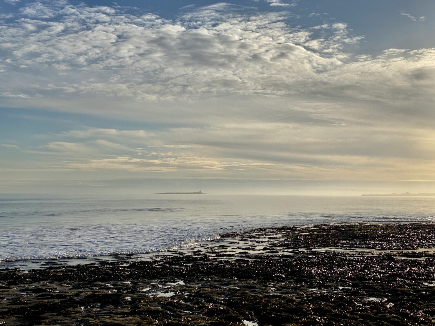 A photo of the Coquet Island in the background, home to a seabird colony