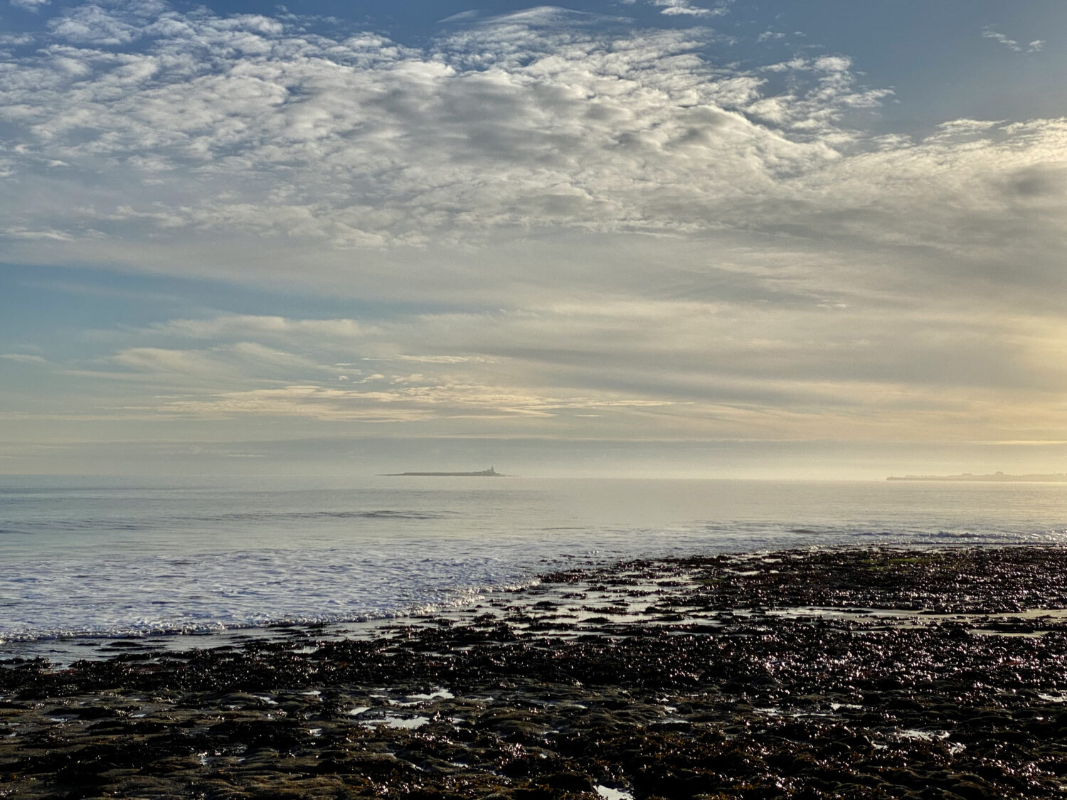 A photo of the Coquet Island in the background, home to a seabird colony