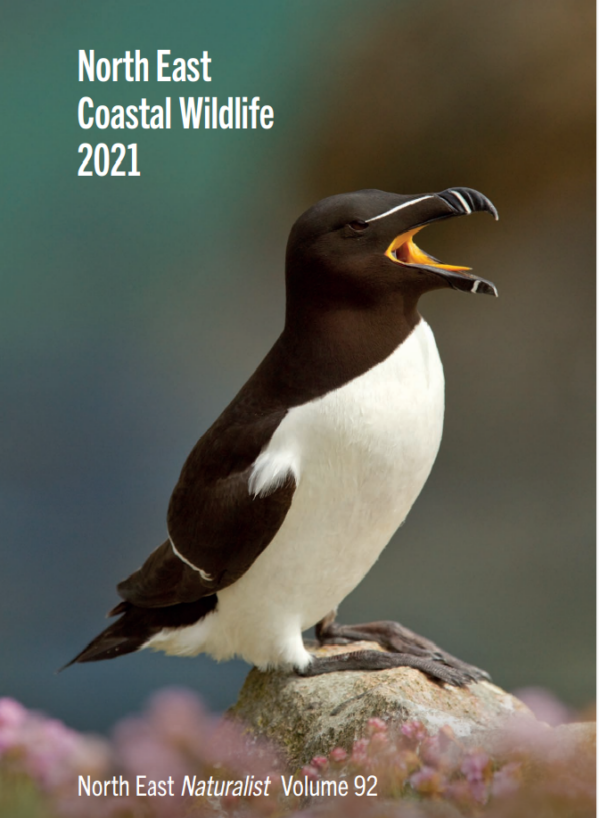 North East Coastal Wildlife 2021