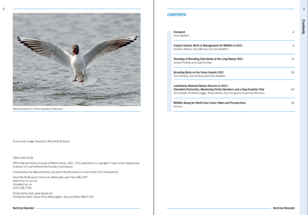 North East Coastal Wildlife 2021 - Image 2