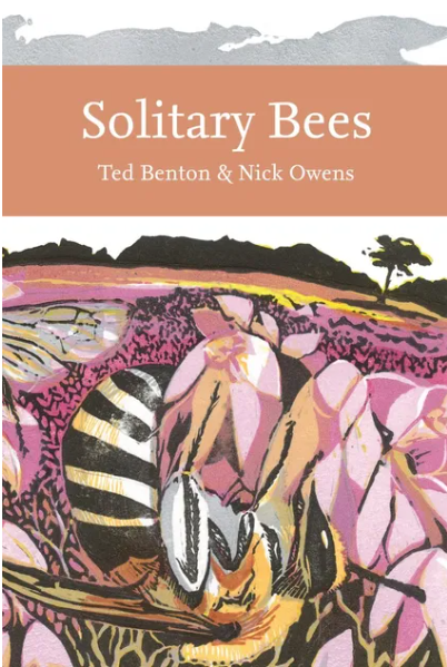 The front cover of Solitary Bees, featuring an upside down bee on a pink flower.