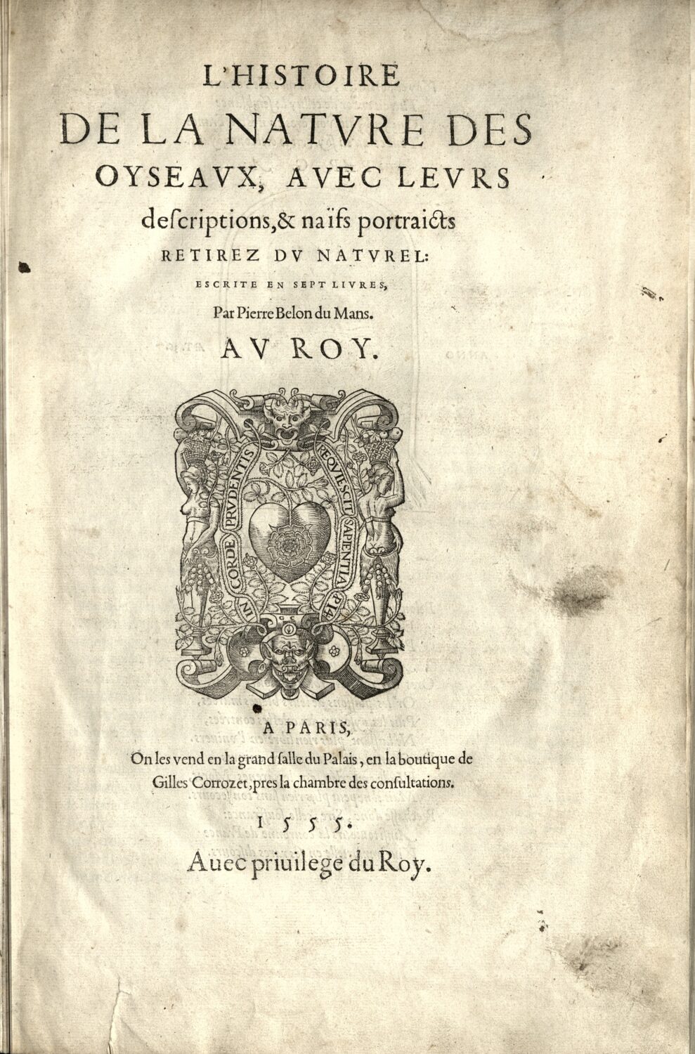 The first page of L'histoire de la nature des oyseaux by Pierre Belon