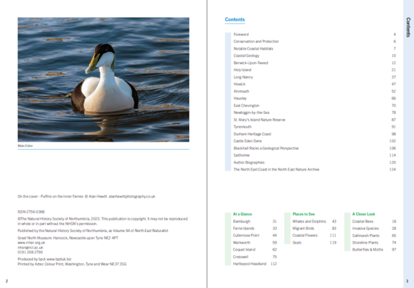 A Guide to North East Coastal Wildlife (North East Naturalist Vol 94, 2023) - Image 2