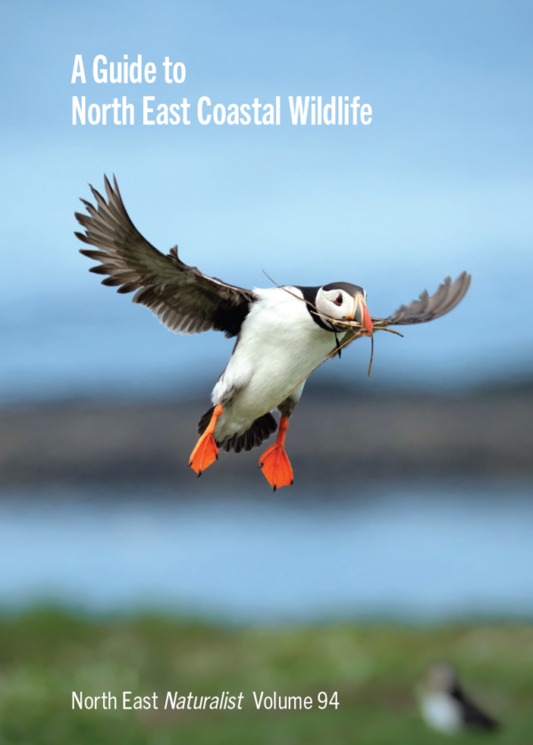 A Guide to North East Coastal Wildlife (North East Naturalist Vol 94, 2023)