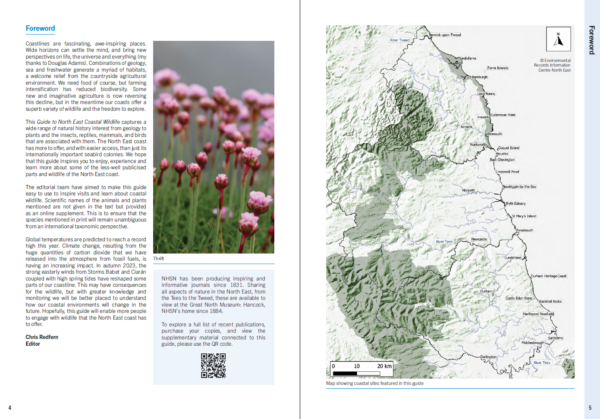 A Guide to North East Coastal Wildlife (North East Naturalist Vol 94, 2023) - Image 3
