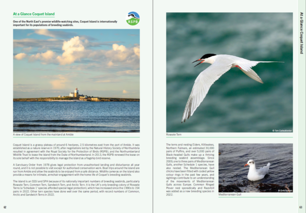 A Guide to North East Coastal Wildlife (North East Naturalist Vol 94, 2023) - Image 4
