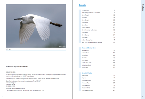 Wildlife of North East Rivers (North East Naturalist Vol 95, 2024) - Image 2
