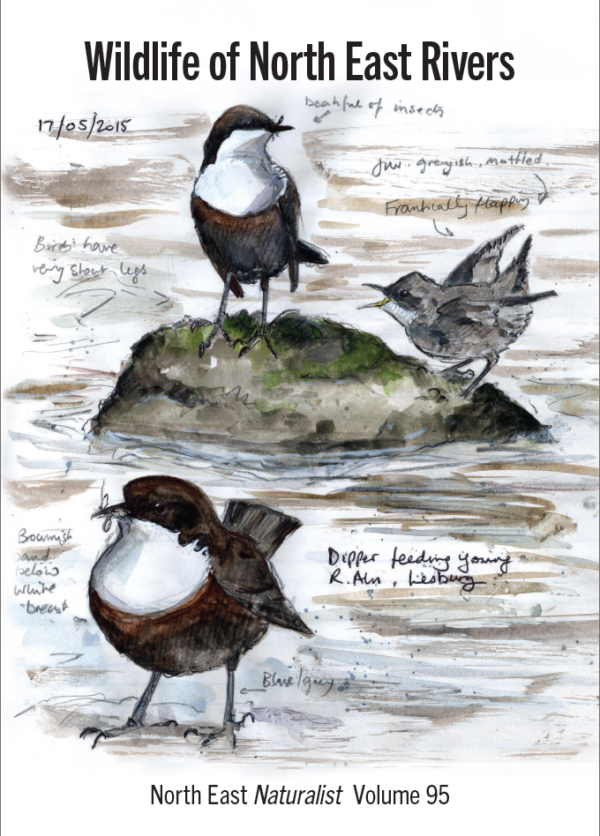 Wildlife of North East Rivers (North East Naturalist Vol 95, 2024)