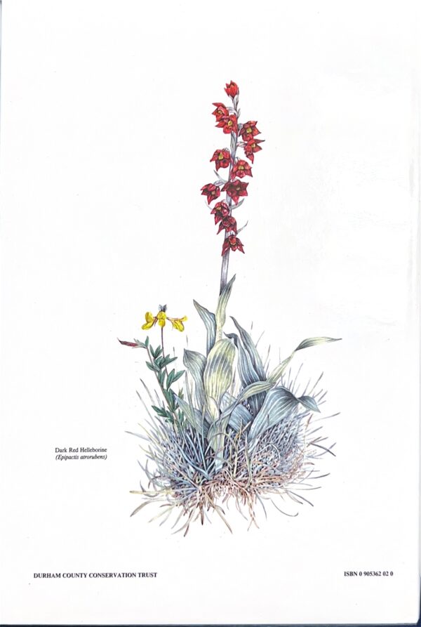 The Flora & Vegetation of County Durham - Image 2