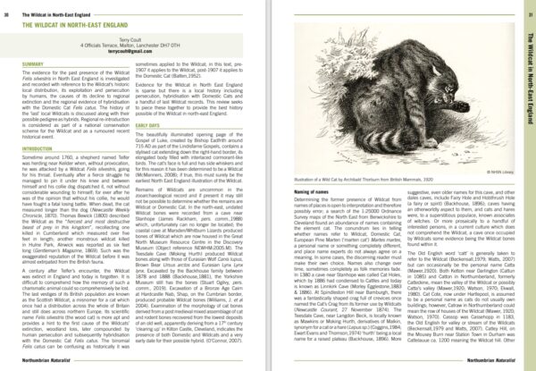 Northumbrian Naturalist Vol 89 (2020) - Image 4