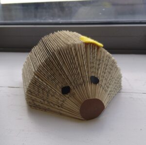 Book Hedgehog Making Kit