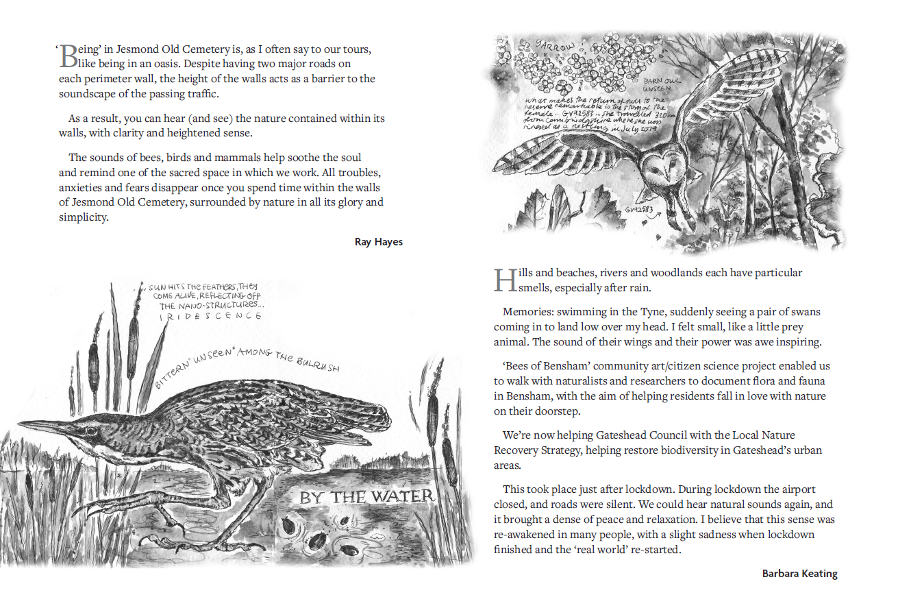 New Voices for North East Nature - Image 3